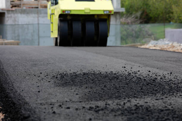 Best Professional Driveway Pavers  in Colfax, IA