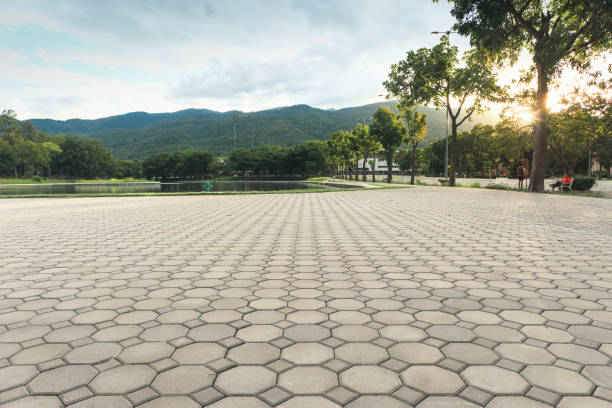 Best Local Driveway Pavers  in Colfax, IA
